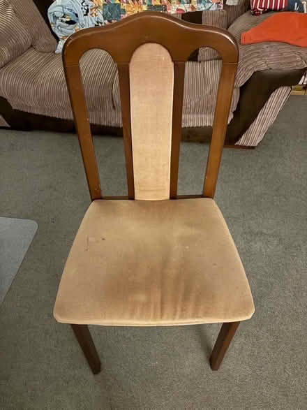 Photo of free Four dining chairs (Westdene BN1) #1