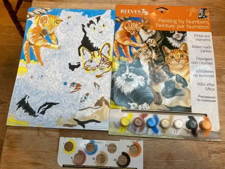 Photo of free Cats paint by numbers - started (CT5) #1