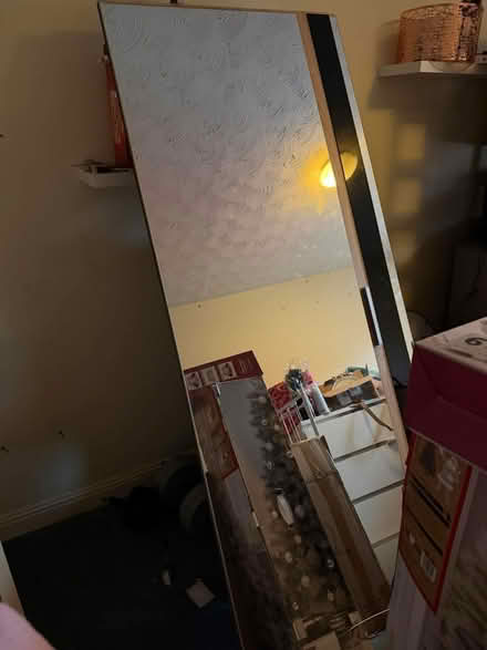 Photo of free 2 wardrobe door mirrors (Breadsall DE21) #1