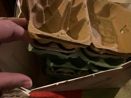 Photo of free Egg boxes (Dogsthorpe) #1