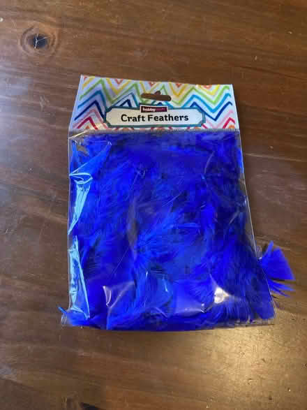 Photo of free Blue craft feathers (Hunters Bar S11) #1