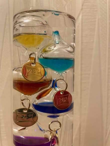 Photo of free Galileo thermometer (Fernhill BL9) #3