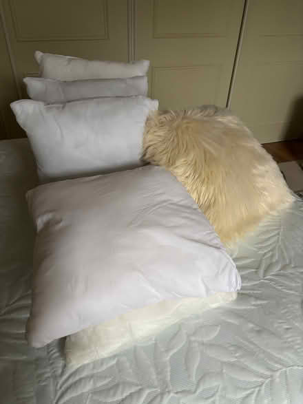 Photo of free Cushion inners + Cushion (Luthrie KY15) #1