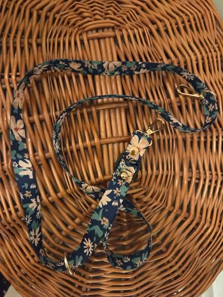 Photo of free Key lanyard (Oxford OX1) #1