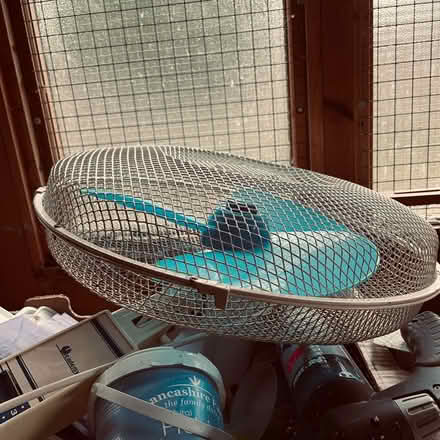 Photo of free 2 x fans (South Hornchurch RM13) #2