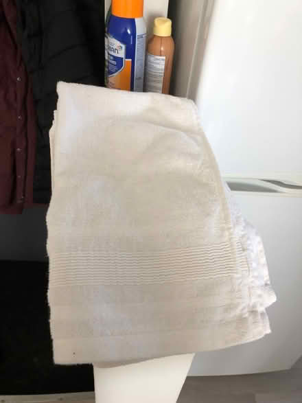 Photo of free 6 hand towels (Leslieville) #3