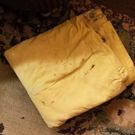 Photo of free Large painter's tarp with grommets (general Lynnwood and east side) #2