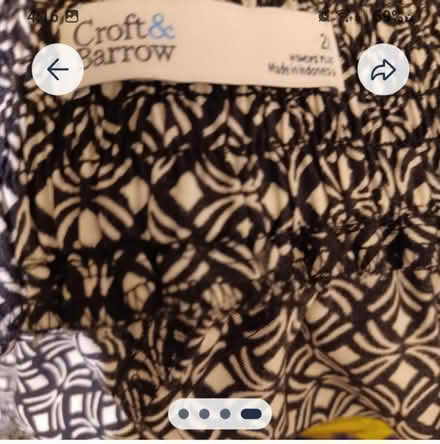 Photo of free 2 Size 2X long skirts (Hollymead) #3