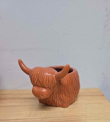Photo of free Small cow plant pot (Bowbridge GL5) #1