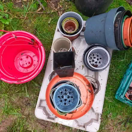 Photo of free Plant pots (Gobowen SY11) #1