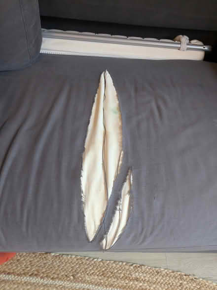 Photo of free Sofabed (Greenwich SE10) #4