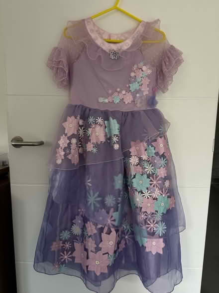 Photo of free Disney Encanto Dress Isabela (BR3) #1