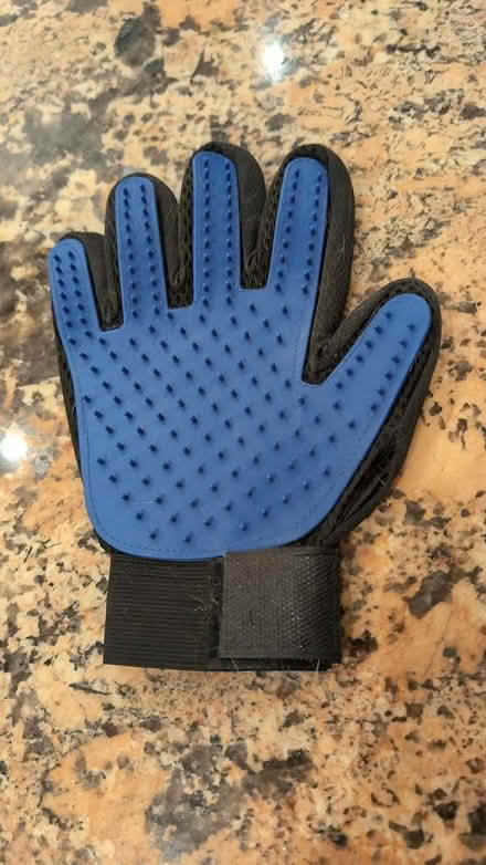 Photo of free Pet Grooming Glove (Trafalgar/River Oaks, Oakville) #1