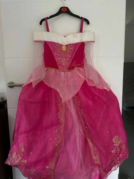 Photo of free Princess Dress Aurora (BR3) #1