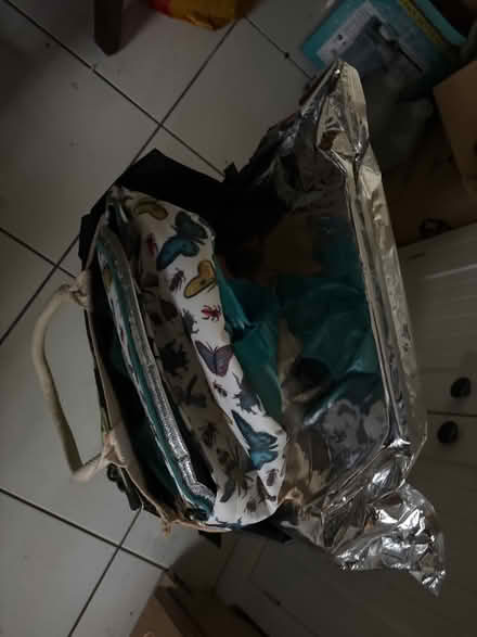 Photo of free Various insulated/ cool bags (Limehouse E1) #1