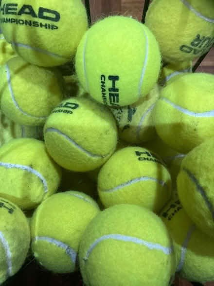 Photo of free Old tennis balls (Nash MK17) #1