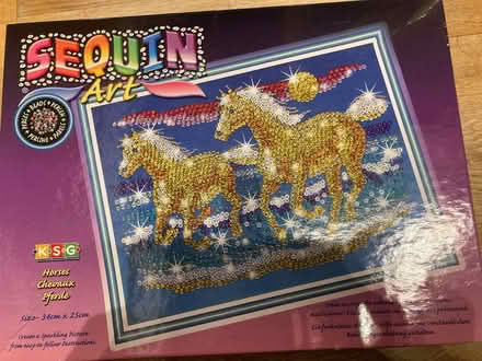 Photo of free Sequin art - Part completed (CT5) #4