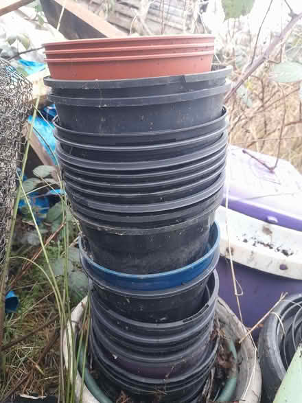 Photo of free Plant pots (Wimbledon Village SW19) #1