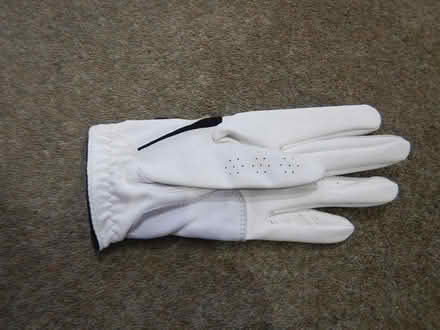 Photo of free Ladies Golf glove FJ size LM (Horndean PO8) #2