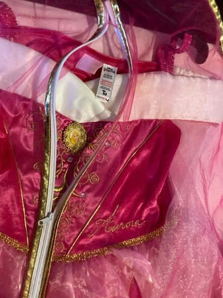 Photo of free Princess Dress Aurora (BR3) #3