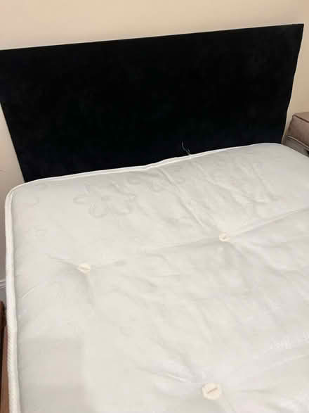 Photo of free Single bed and mattress (Glasgow) #2