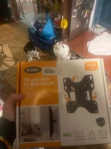 Photo of free ‘Tilt and turn’ TV wall mount bracket (Bowerham LA1) #1