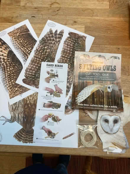 Photo of free Craft kit - Flying owls (1 started; 2 unstarted) (CT5) #2