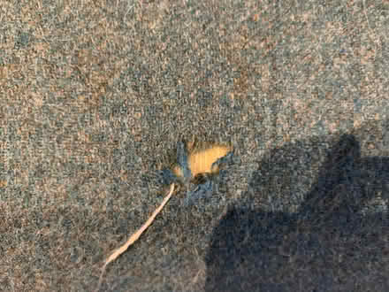 Photo of free Blue sofa (Brookend GL13) #2