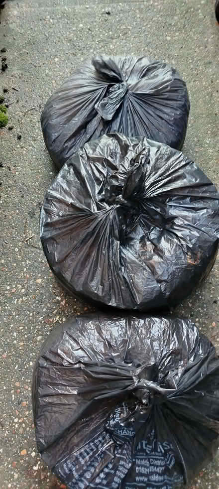 Photo of free Shredded Paper (Witham CM8) #1