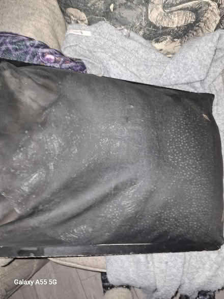 Photo of free Another Lap tray (Westgate LA4) #2