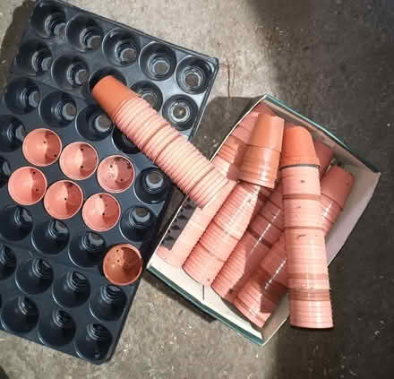Photo of free 6cm plastic seed starter pots and holding trays (Layfield TS15) #1