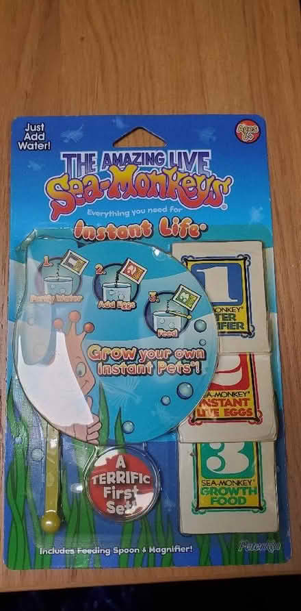 Photo of free Sea Monkeys kit. (Tye Green Village CM18) #1