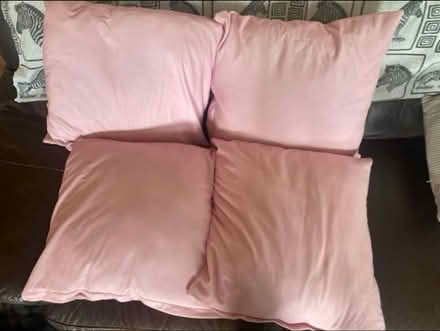 Photo of free Cushions with covers x 4 (Cheshunt En8) #1