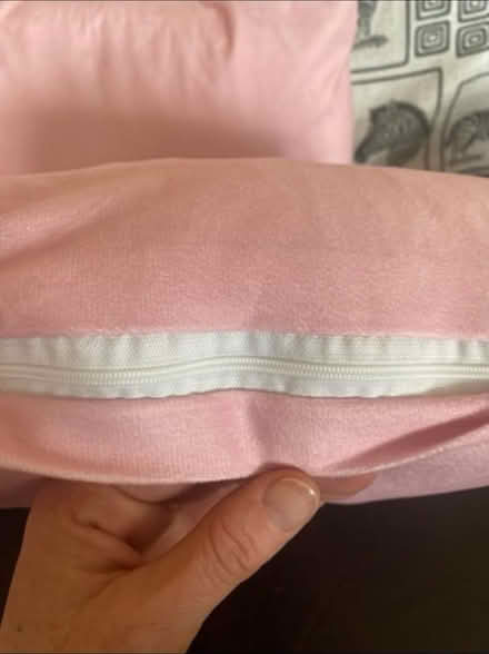 Photo of free Cushions with covers x 4 (Cheshunt En8) #2