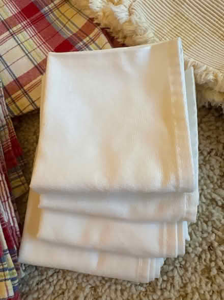 Photo of free Tablecloth, napkins, placemats (Hwy 76, Rancho Del Oro, O’side) #4