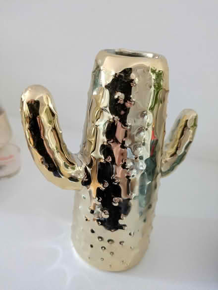 Photo of free Cactus vase - CHIPPED (Twickenham TW2) #4