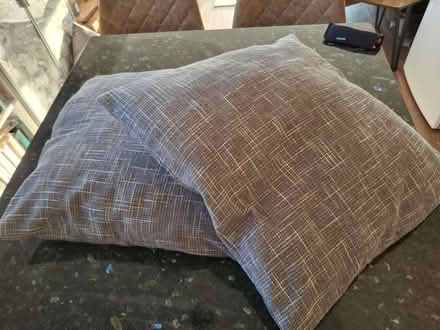 Photo of free 2 x grey cushions (Hastings TN34) #1