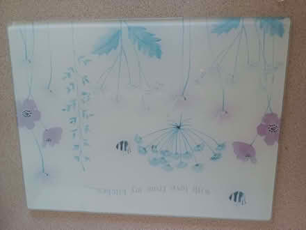 Photo of free Glass worktop protector & matching mug - take one or both (Westbury Fields BS9) #1