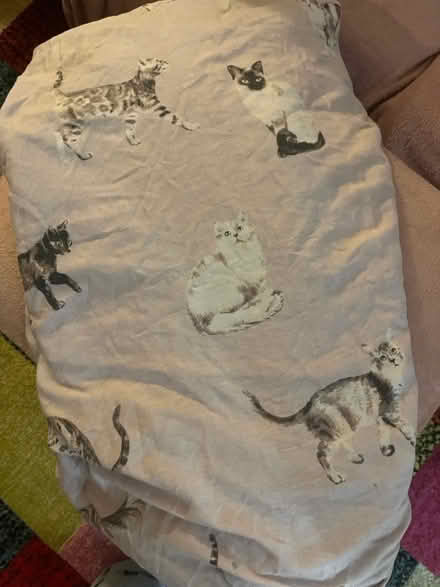 Photo of free grey and pink cat duvet cover (SK1, central stockport) #1