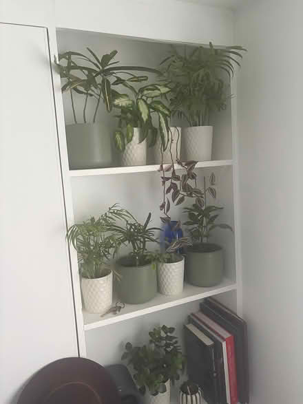 Photo of free Bedroom clearance (TR11) #3