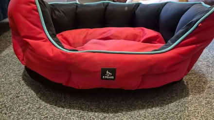 Photo of free Dog Bed (Logie DD2) #2