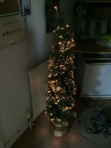 Photo of free Fibre optic Christmas tree and backpack (Blacklands TN34) #2
