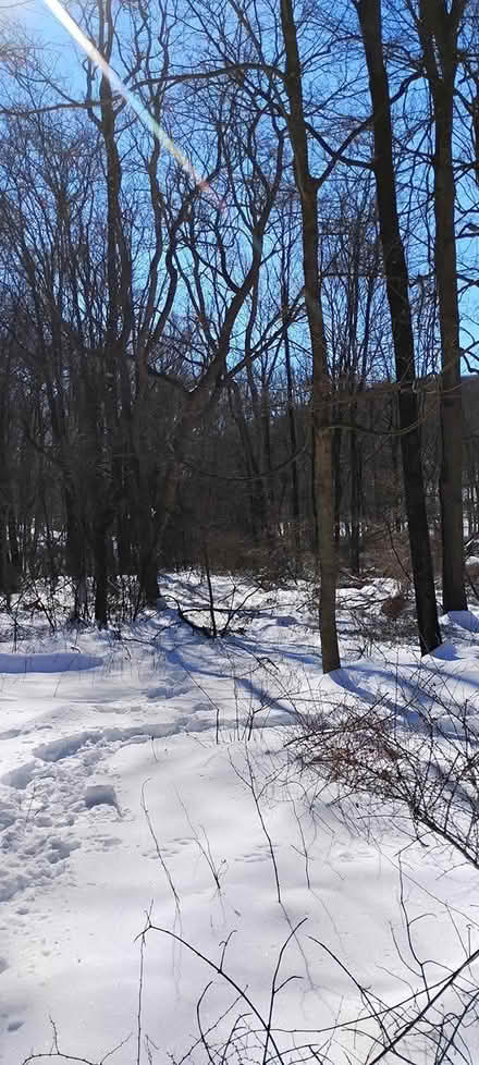 Photo of snow shoes 25-30 (10532) #2