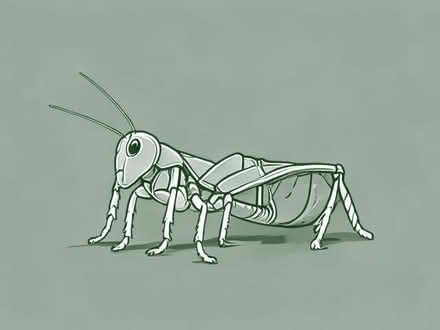 Photo of free cricket programme (Haylands Way MK41) #1