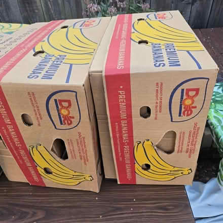 Photo of free Big Boxes (Chiquita Av MtnVw) #4