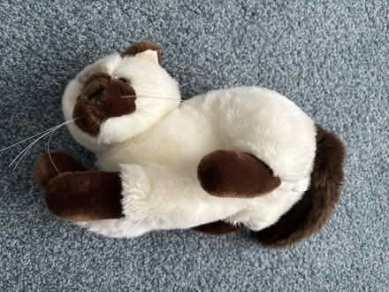 Photo of free 90s Super Soft Cat Plush Toy (Greece, NY) #2