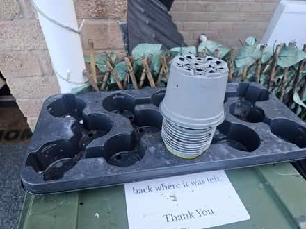 Photo of free Plant pots and trqy (Malvern Link WR14) #1