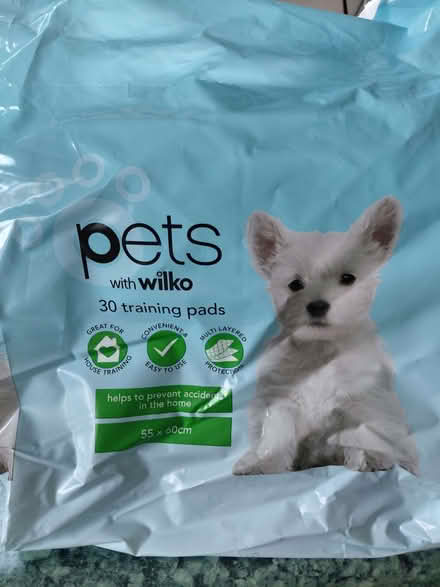 Photo of free Puppy pads (Stroud GL5) #1
