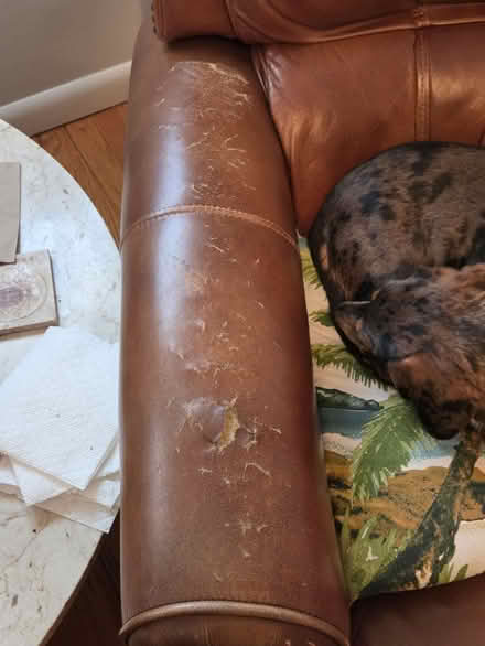 Photo of free Recliner (New Milford / north east end) #2