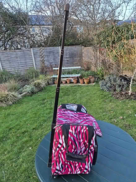 Photo of free Cool bag wheelie. (Taunton Killams & Mountfield District Ward TA1) #2